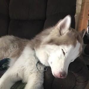 Meet your Posher, Paula